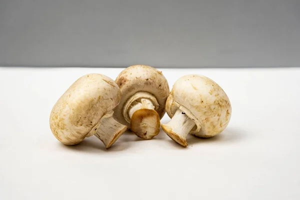 Champignons Champignons Sur Fond Gris Blanc Avec Une Copie Gratuite — Photo