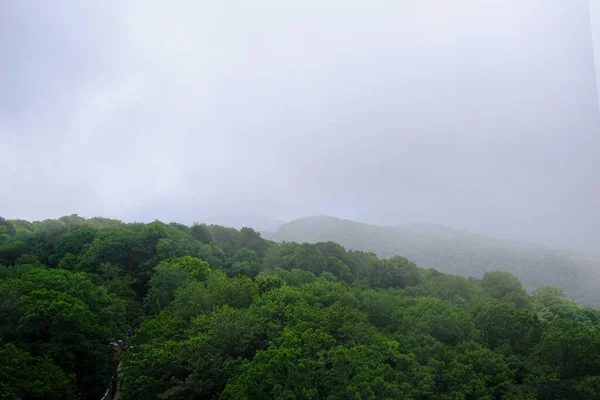 Över Berg Och Skog Uppifrån Berg Akhun Kullar Och Skog — Stockfoto