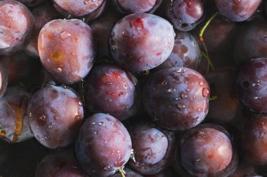 Bir sürü olgun organik erik arka planda, sonbahar hasadı