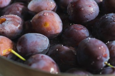 Bir sürü olgun organik erik arka planda, sonbahar hasadı