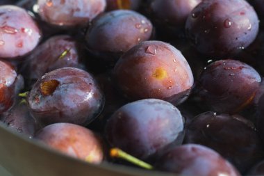 Bir sürü olgun organik erik arka planda, sonbahar hasadı