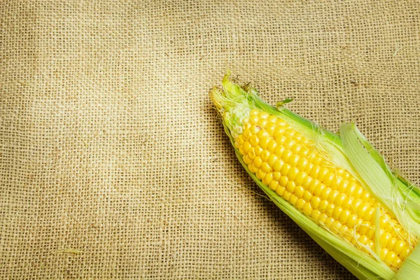 Organiczna Świeża Kukurydza Kolbie Płótnie Bezpłatną Kopią Miejsca Tekst Ramka — Zdjęcie stockowe