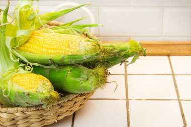 Koçandaki organik taze çiftlik mısırı, metin için bedava kopya alanı, sarı mısır çerçevesi maketi, yukarıdan düz manzara, sonbahar hasat