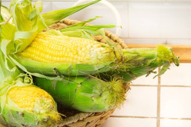 Koçandaki organik taze çiftlik mısırı, metin için bedava kopya alanı, sarı mısır çerçevesi maketi, yukarıdan düz manzara, sonbahar hasat