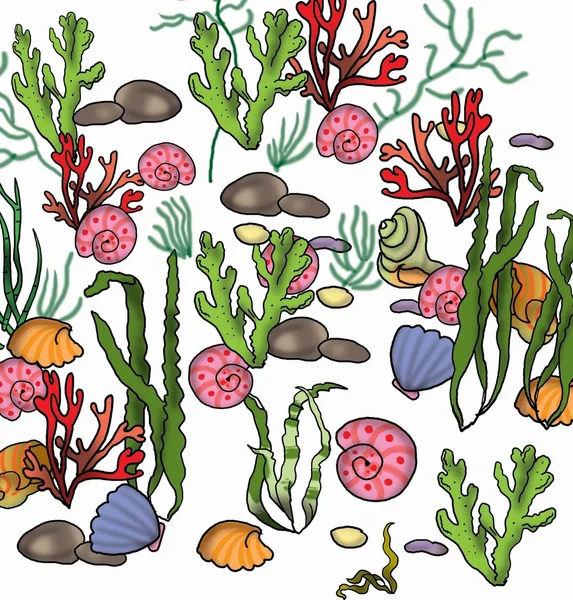 Подводный мир с раковинами и водорослями — стоковое фото
