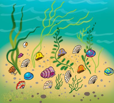 Deniz dibinde alg ve kabukları ile birlikte