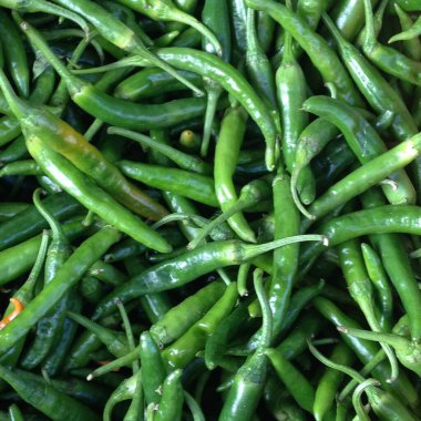 Yazın güneşi altında yeşil fasulyeler.