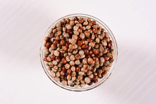 Andu been seeds — Stock Photo, Image