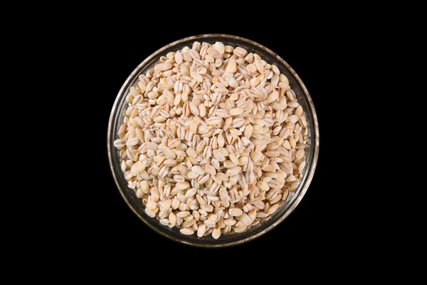 原料大麦种子 — 图库照片