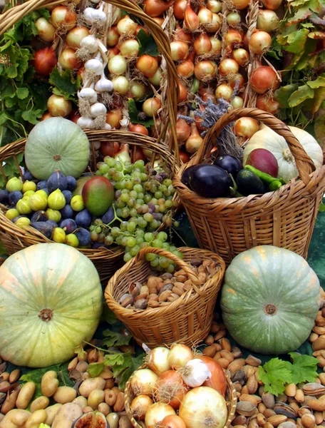 Summer harvest — Stock Photo, Image