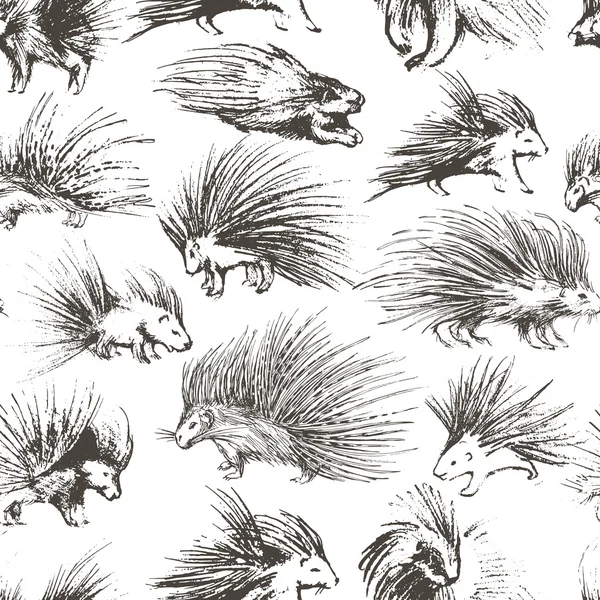 Nahtloses Muster mit handgezeichneten Stachelschweinen. — Stockvektor