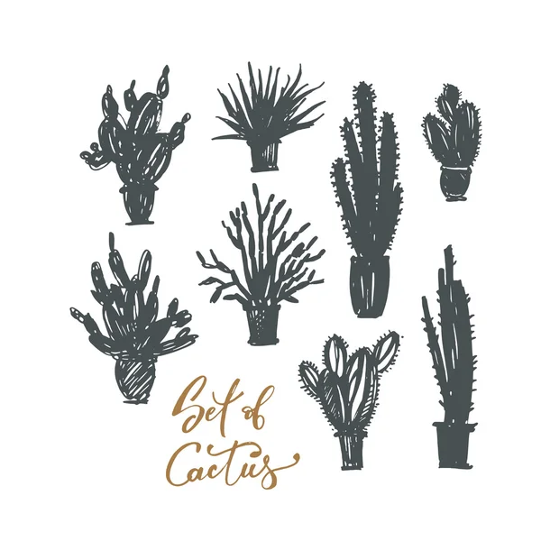 Colección de cactus silueta dibujado a mano . — Archivo Imágenes Vectoriales