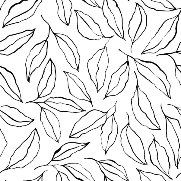 Kézzel rajzolt fekete ecset körvonalai levelek és gallyak. — Stock Vector