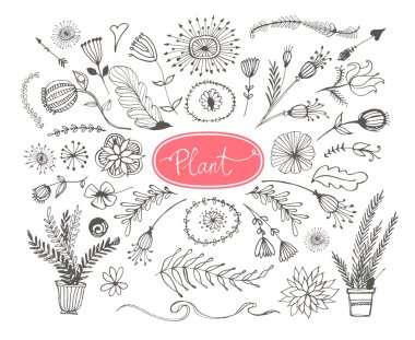 Elle çizilmiş bitkiler kümesi. Yapraklar ve çiçekler.