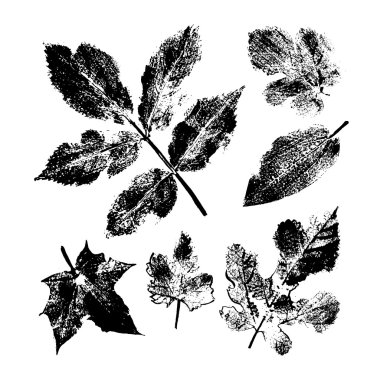 Koleksiyon Künye bırakır. Mürekkep çizim.