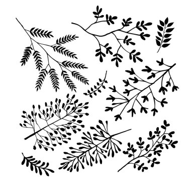 Dekoratif bitki ve çiçek koleksiyonu.