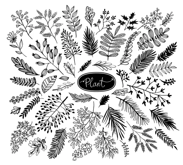 Decoratieve planten en bloemen collectie. Hand — Stockvector