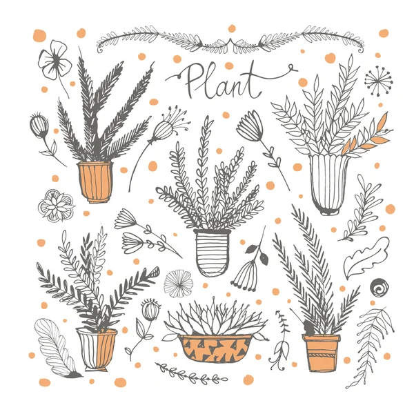 Koleksiyon el bir tencere çizilmiş bitkiler. — Stok Vektör