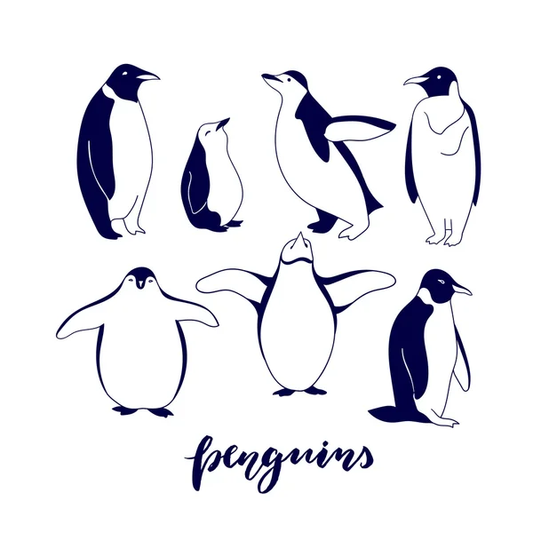 Pingüinos dibujados a mano — Vector de stock