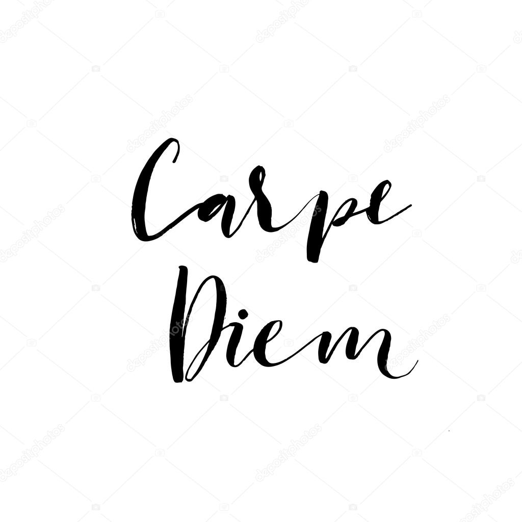 Carpe diem card. Hand drawn lettering. — Stock Vector © gevko93 #96565158