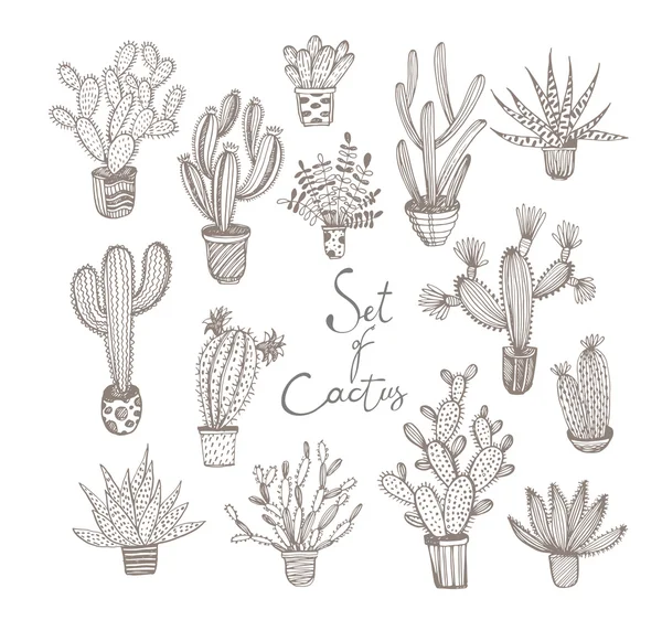 Collection of hand drawn cactuses in a pots. — Stock vektor