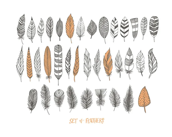 Collection de plumes décoratives dessinées à la main . — Image vectorielle