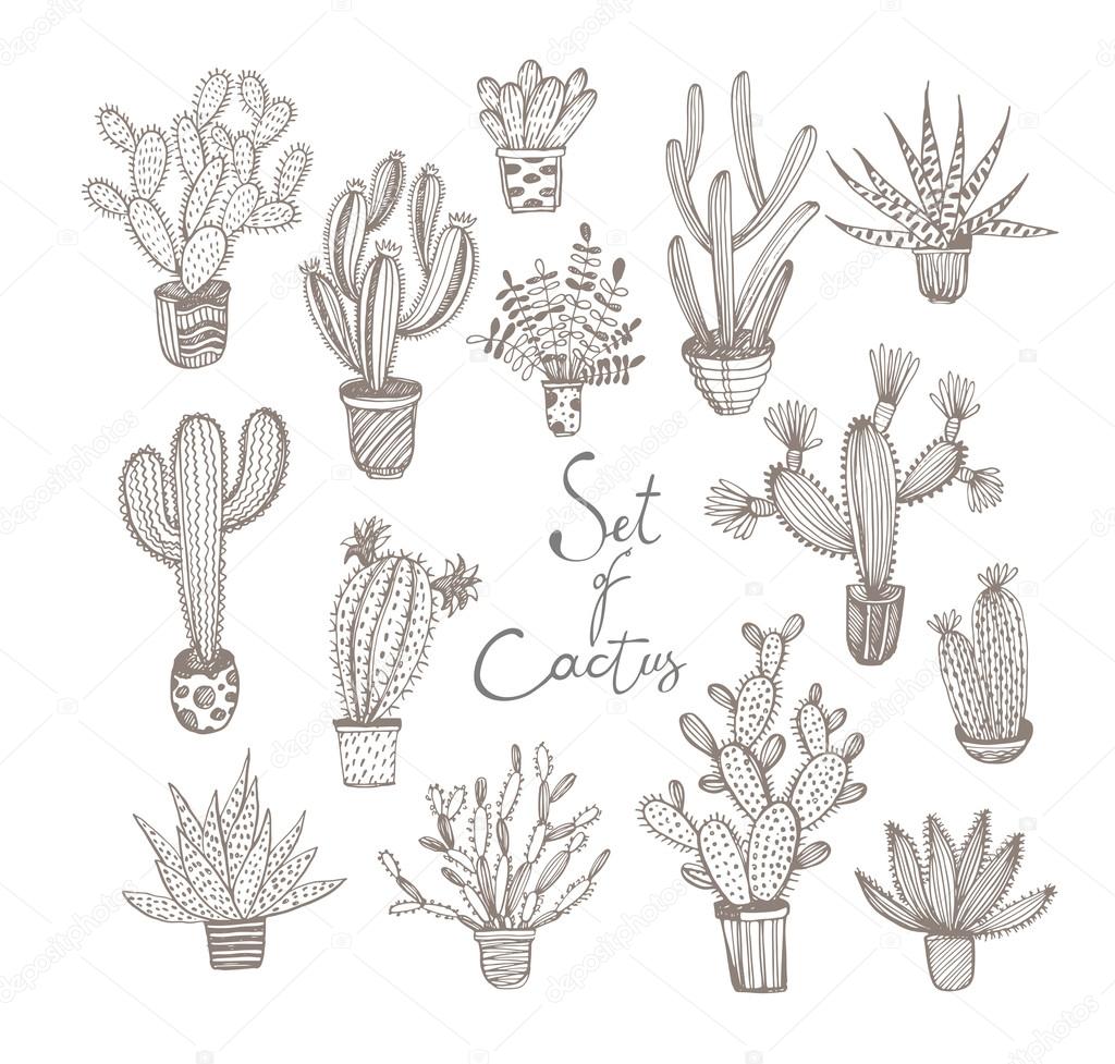 Collection of hand drawn cactuses in a pots.