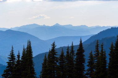 Washington 'daki Olympic Ulusal Parkı' nda kar fırtınası dağlarını pelerinledi.