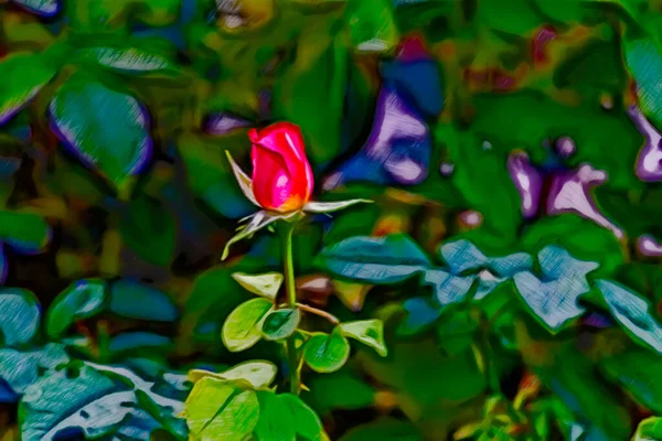 Junge Rote Rosen Vor Dem Hintergrund Grüner Vegetation Blick Von — Stockfoto