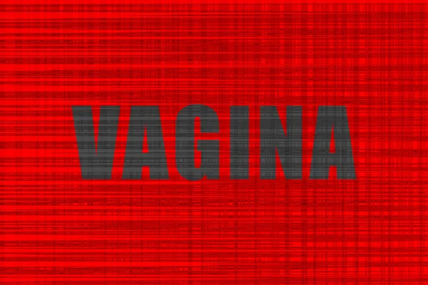 Inscription Vagina Red Textured Background Grey Letters View Front — 스톡 사진