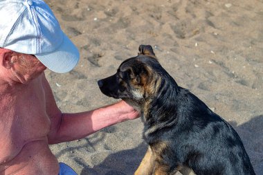 Yaşlı adam köpeği okşuyor. Güneşli bir sonbahar günü bir kenar manzaradır.