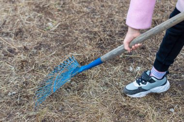 Genç kız çim biçme makinesindeki kuru otları temizliyor..