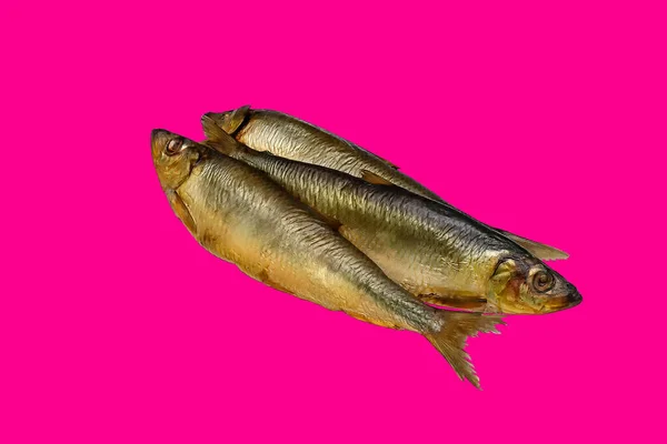 Pesce Aringa Iwasi Affumicato Sullo Sfondo Rosa Vista Frontale Ripresa — Foto Stock