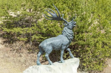 Geyik heykeli. Hunty-Mansiysk, Rusya - 3 Mayıs 2021
