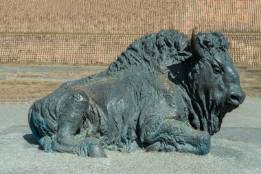 Bufalo heykeli. Hunty-Mansiysk şehri, Rusya - 3 Mayıs 2021