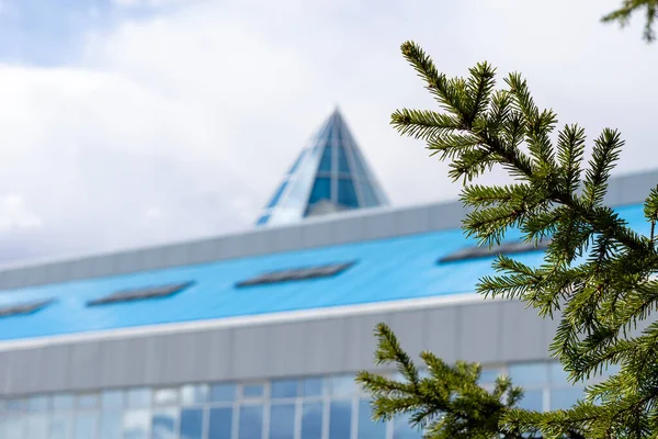 Toit Bâtiment Moderne Une Branche Pin Vue Côté Par Une — Photo