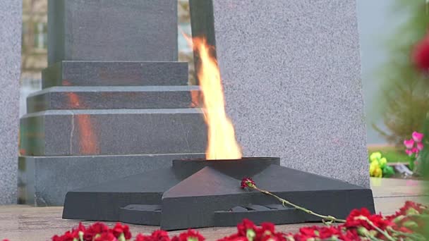 Fuego Eterno Monumento Los Soldados Caídos Gran Guerra Patriótica Surgut — Vídeos de Stock