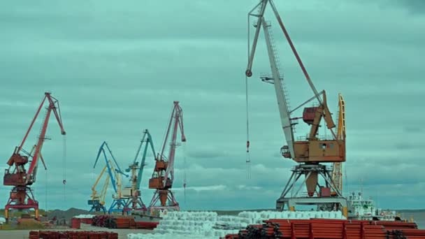 Port Fluvial Cargo Grues Zone Stockage — Video