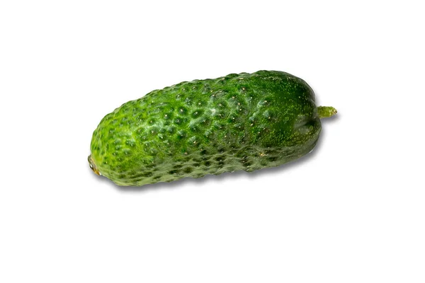 Cucumber Young Crop Pimples White Background Isolate — Stock Photo, Image