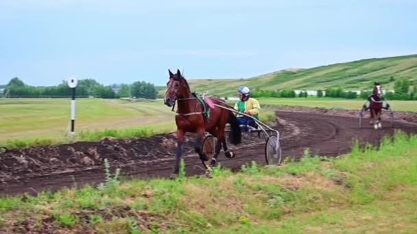 Racen Met Paardenkoets Twee Wielen Bashkortostan Rusland Juni 2021 — Stockvideo