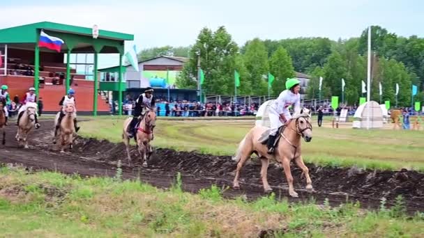 Slow Motion Shot Running Horses Baszkortostan Rosja Czerwca 2021 — Wideo stockowe