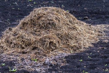 Öğleden sonra bahçede çok gübre var..