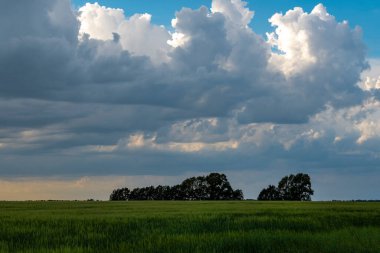 Green field of grass with heavy rain clouds and sunshine view.