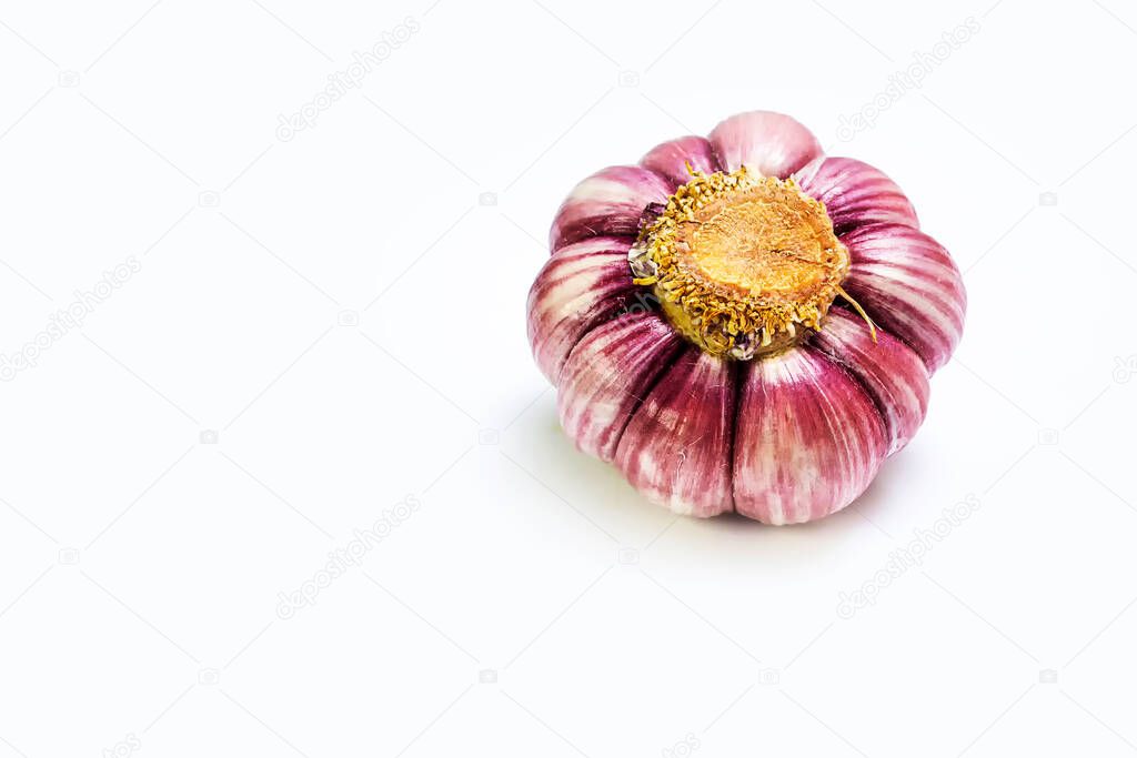 Head of garlic on white background spins. isolate