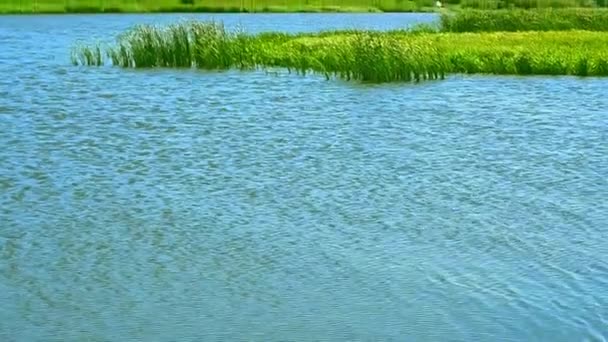 Lago Azul Parte Costa Verde — Vídeo de Stock