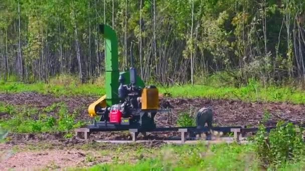 Triturador Industrial Floresta Trabalhadores Carga Ramos — Vídeo de Stock