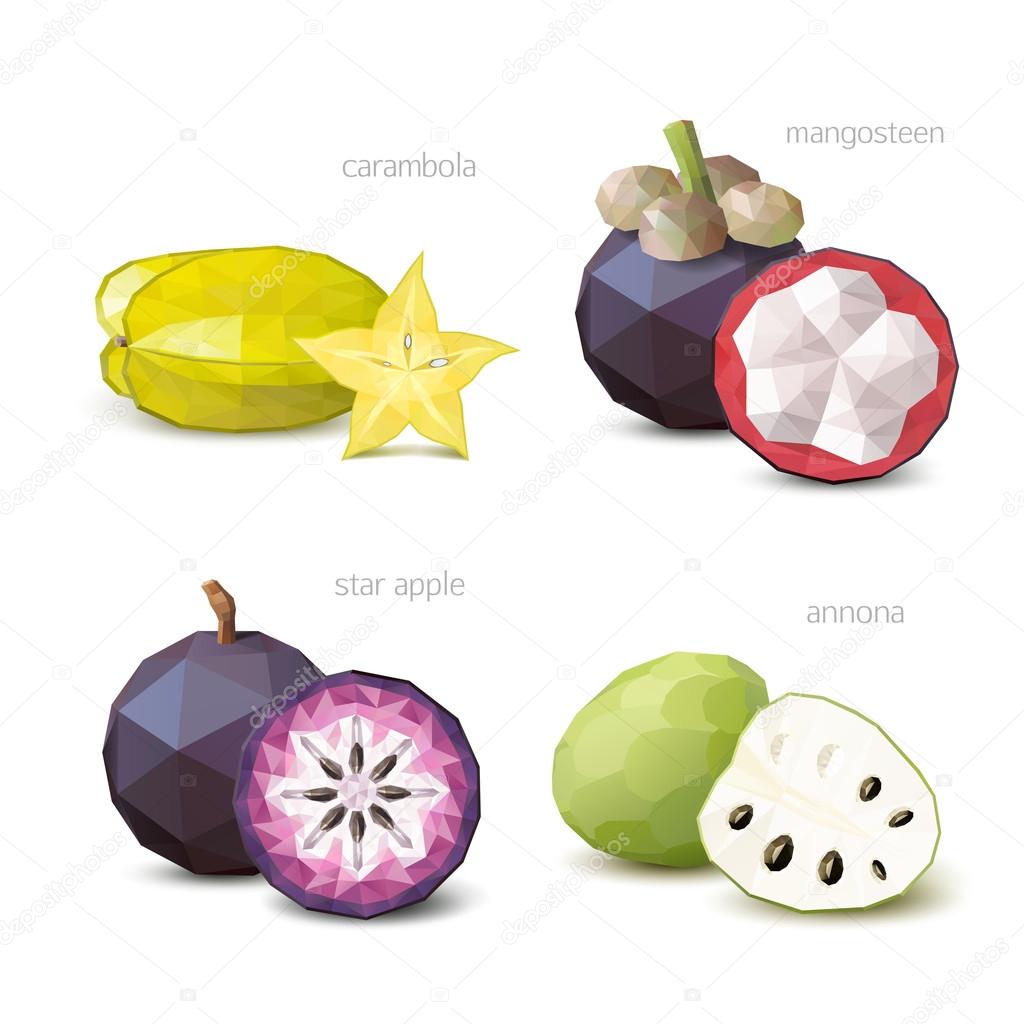 Polygonal fruit carambola, star apple, annona, mangosteen. Vec