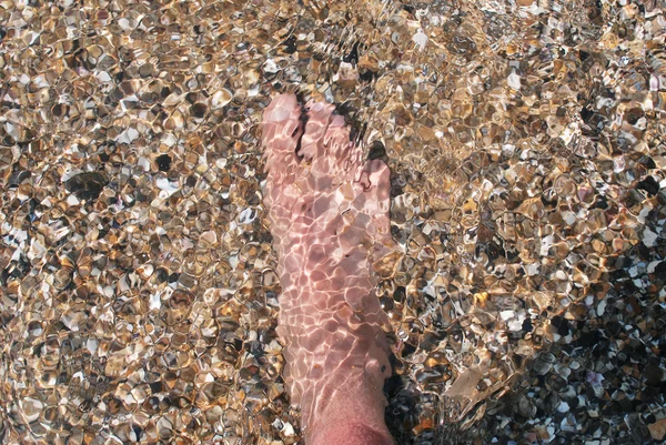 Pierna en el agua clara — Foto de Stock