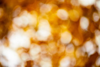 Sonbahar portakal yaprakları bulanık gökyüzünde, sonbahar doğa arka planında Bokeh ile