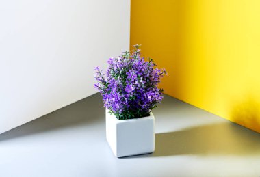 Gri-sarı beyaz arka planda bir saksı leylak çiçeği